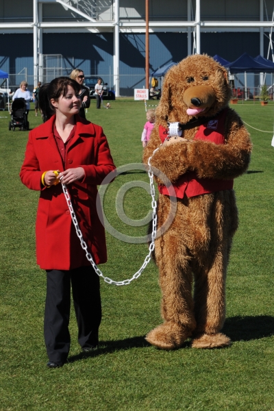 TAS_0378.JPG