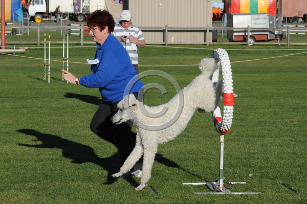TAS_09903.JPG