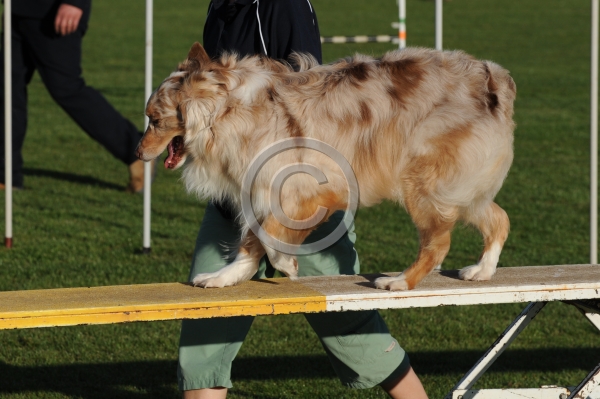 TAS_09967.JPG