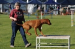 TAS_0151