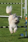 TAS_0240