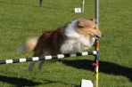 TAS_0250