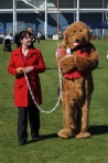 TAS_0378