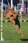 TAS_0393