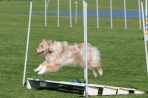 TAS_0409