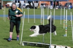 TAS_0422