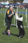 TAS_0429
