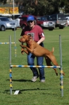 TAS_0453
