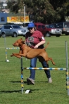 TAS_0454