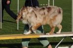 TAS_09967