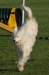 TAS_09986
