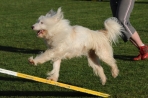 TAS_09990