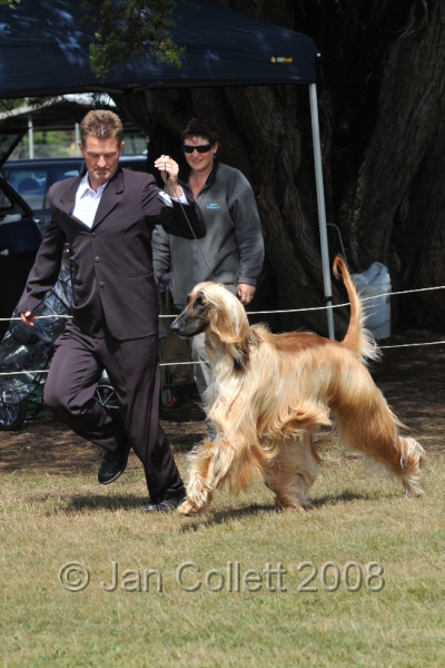 DOG_6212.JPG
