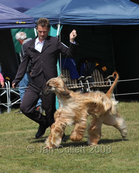 DOG_6217.JPG
