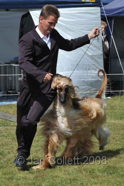 DOG_6221.JPG