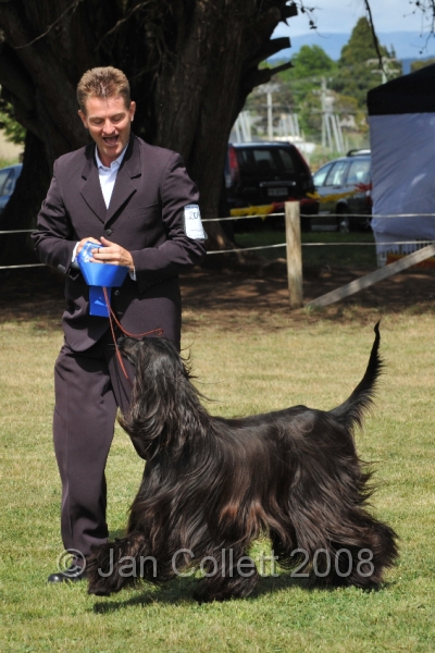 DOG_6256.JPG