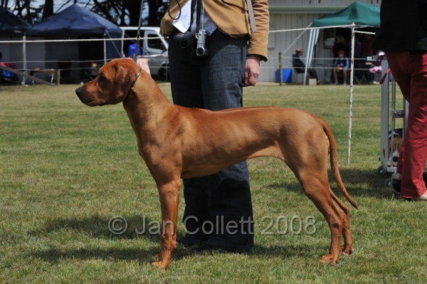 DOG_6410.JPG