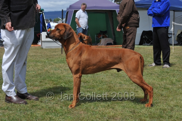 DOG_6418.JPG