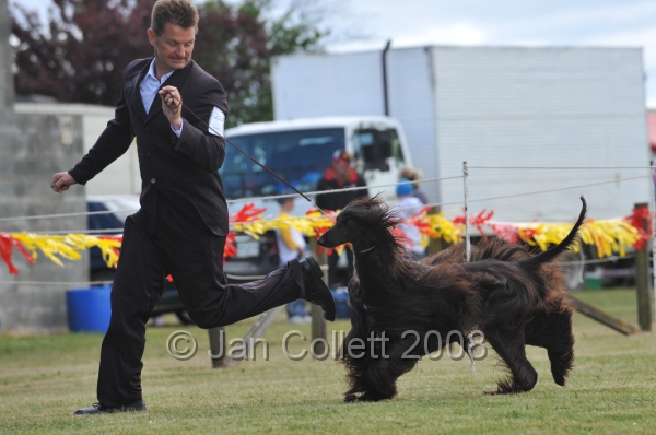 DOG_6457.JPG