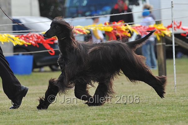 DOG_6458.JPG