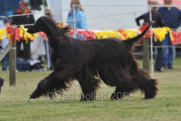 DOG_6461.JPG