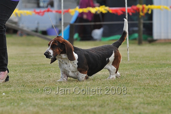 DOG_6468.JPG