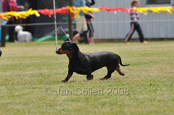 DOG_6482.JPG