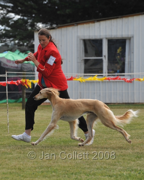 DOG_6496.JPG