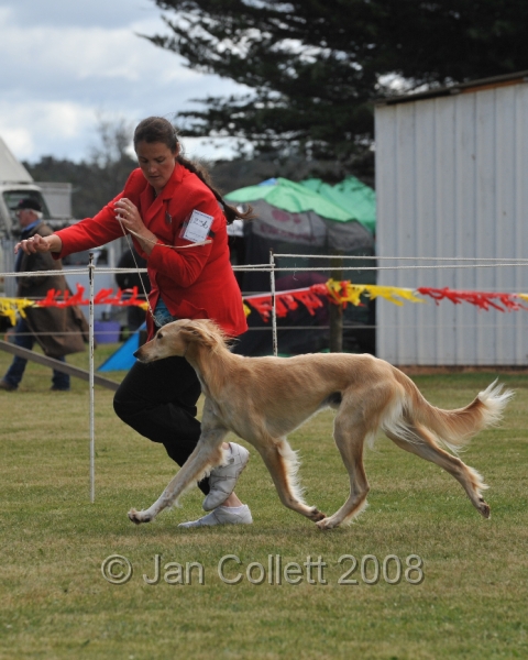 DOG_6498.JPG