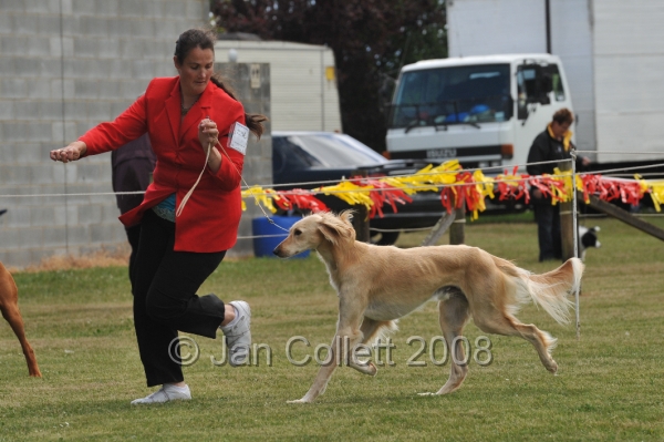 DOG_6499.JPG