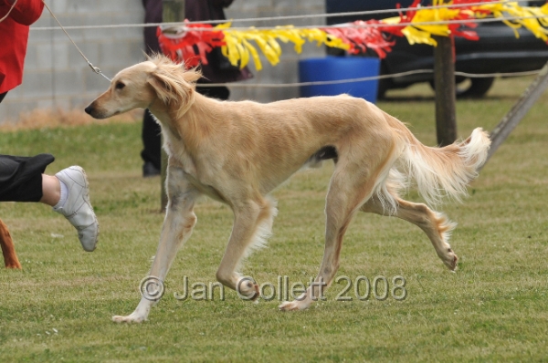 DOG_6501.JPG