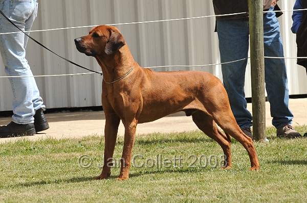 DOG_6510.JPG