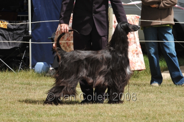 DOG_6514.JPG
