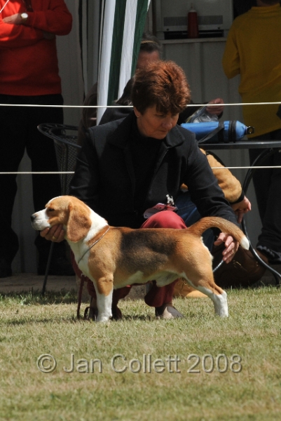 DOG_6517.JPG