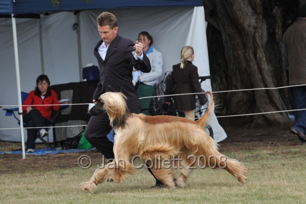 DOG_6524.JPG