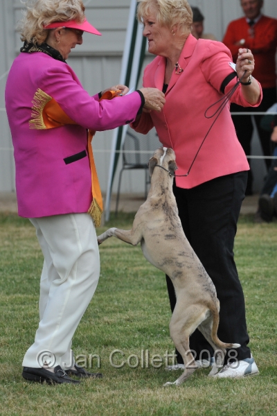 DOG_6527.JPG