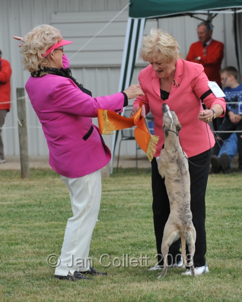 DOG_6530.JPG