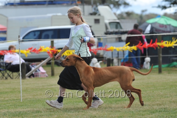 DOG_6532.JPG