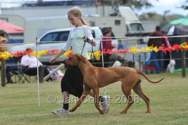 DOG_6533.JPG
