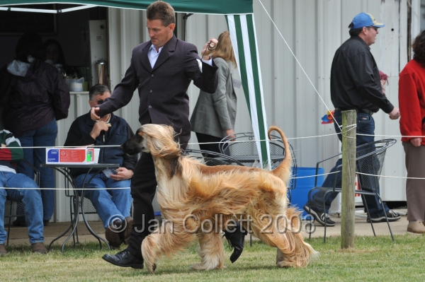 DOG_6539.JPG