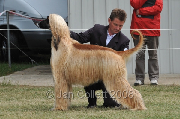DOG_6540.JPG