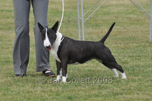 DOG_6609.JPG