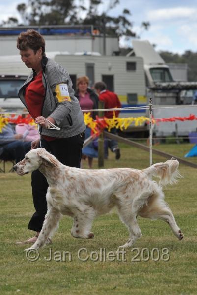 DOG_6620.JPG