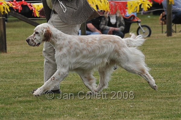 DOG_6622.JPG