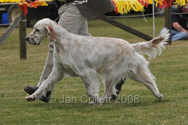 DOG_6624.JPG