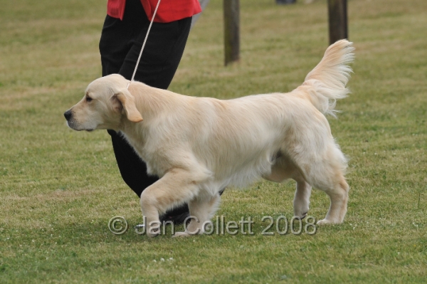 DOG_6652.JPG
