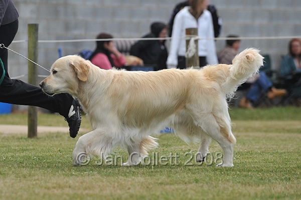 DOG_6671.JPG