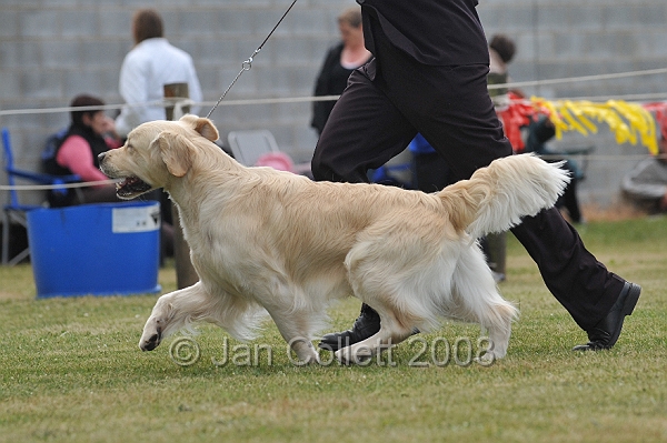 DOG_6677.JPG