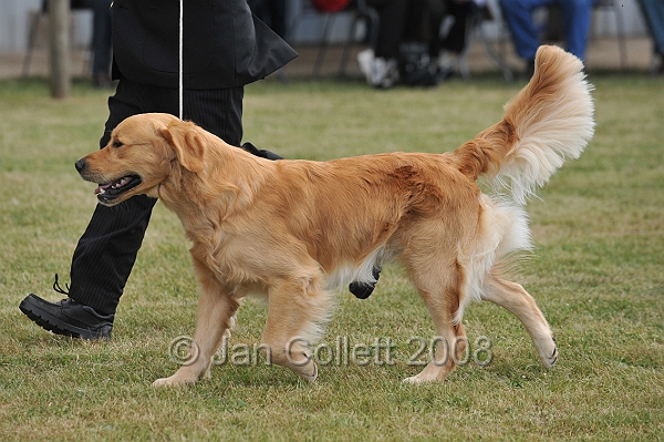 DOG_6686.JPG