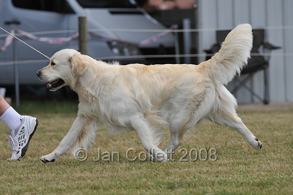 DOG_6691.JPG